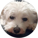 Julie Anne Child profile picture