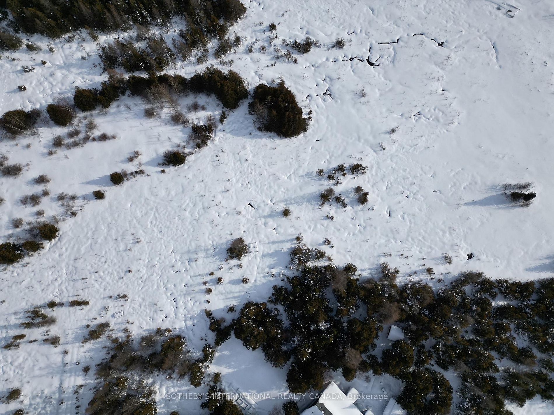 Lot 17 Forbes Road, Northern Bruce Peninsula, Ontario N0H 2T0 - Photo 4 - X12806726