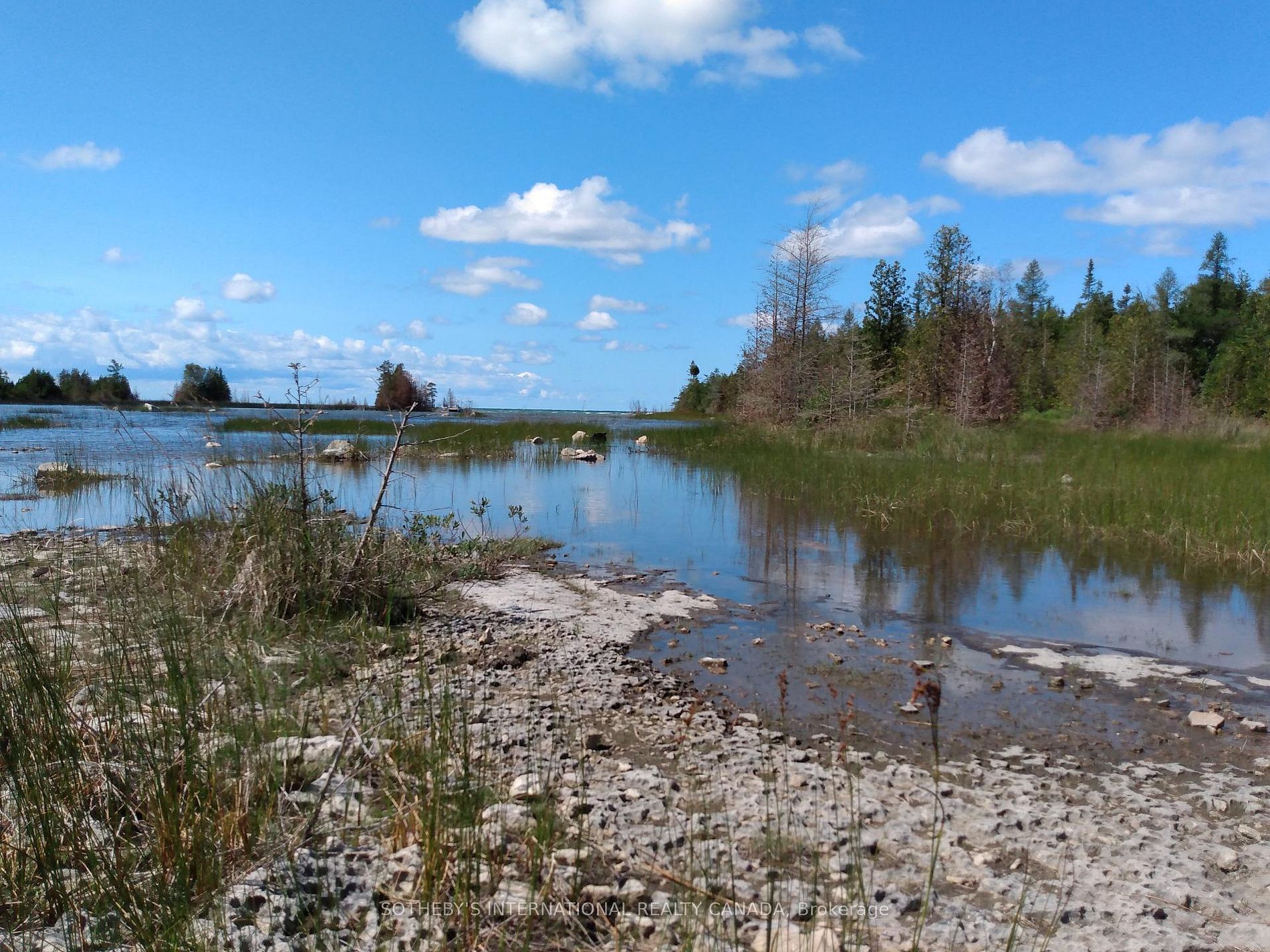 Lot 17 Forbes Road, Northern Bruce Peninsula, Ontario N0H 2T0 - Photo 6 - X12806726